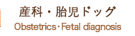 産科・胎児ドッグ
