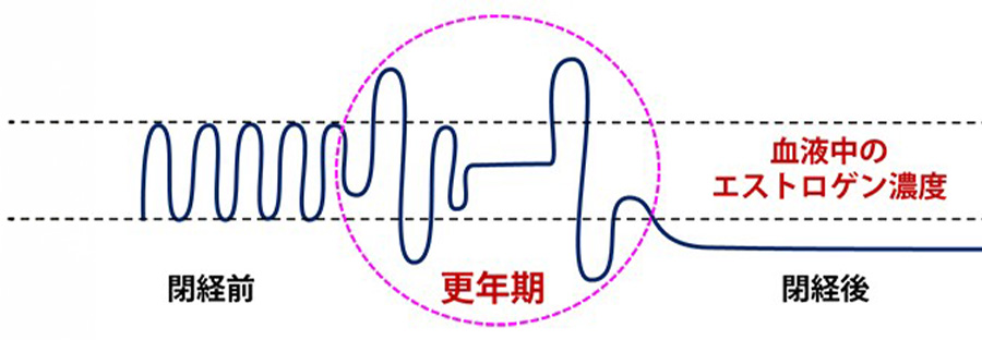 生理周期